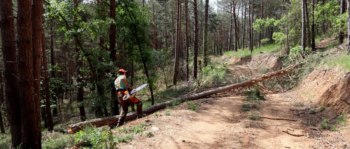 Netejar per protegir: cuidar el teu entorn pot prevenir un incendi