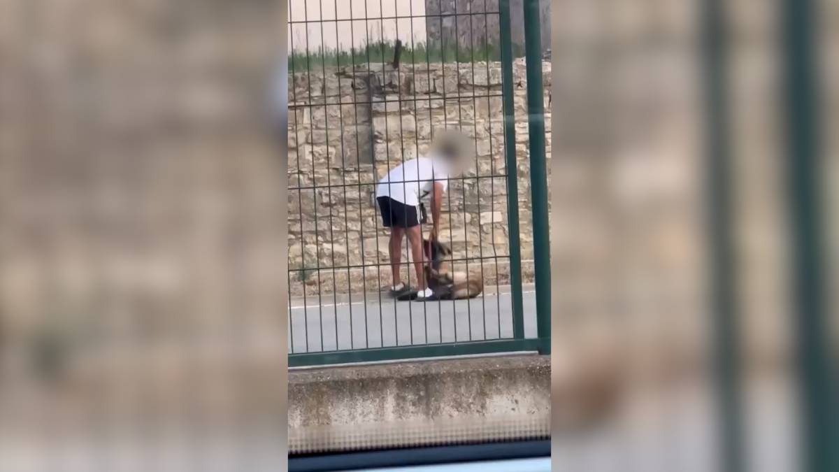 Un vídeo viral ajuda a destapar un cas de maltractament animal a Calaf