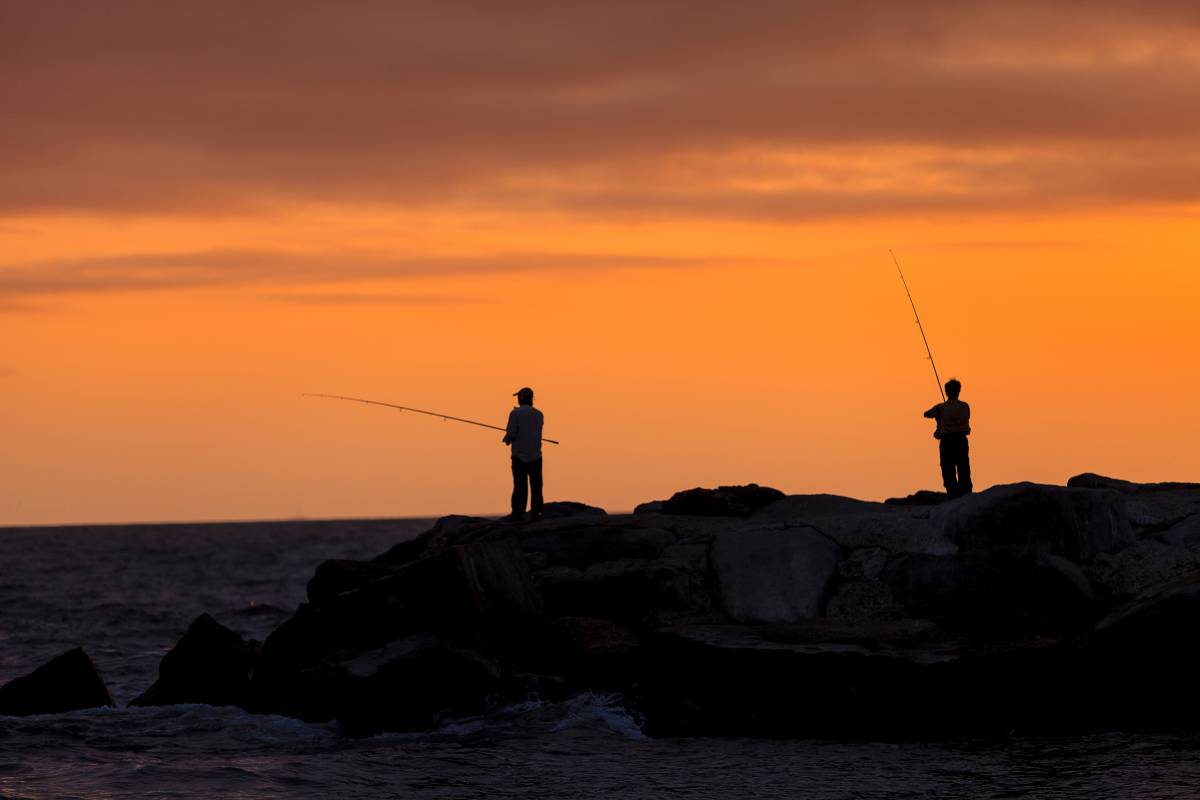 La pesca recreativa ens permet gaudir del mar, la costa i la seva biodiversitat - La pesca recreativa ens permet gaudir del mar, la costa i la seva biodiversitat