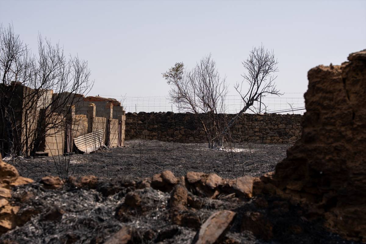 Una onada d'incendis simultanis situa diversos punts de l'Estat en alerta màxima
