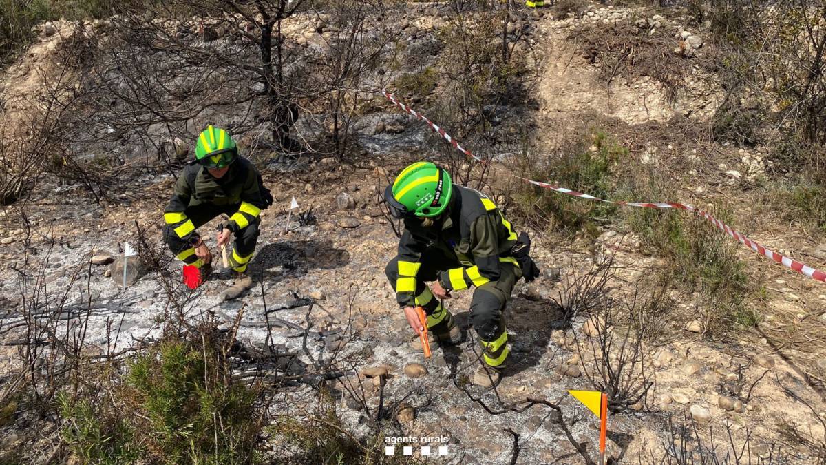 Els Agents Rurals investigant una zona cremada - Agents Rurals