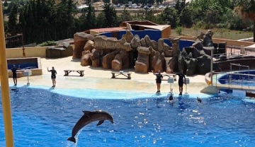 El municipi de la Costa Brava que té un parc aquàtic amb dofins