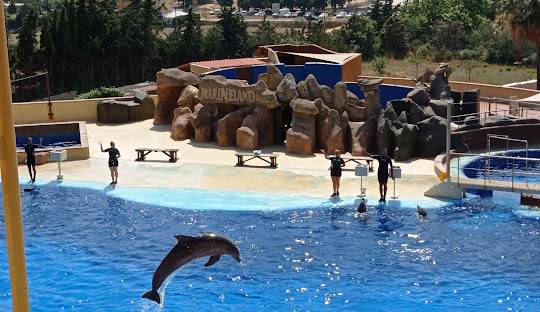 El municipi de la Costa Brava que té un parc aquàtic amb dofins