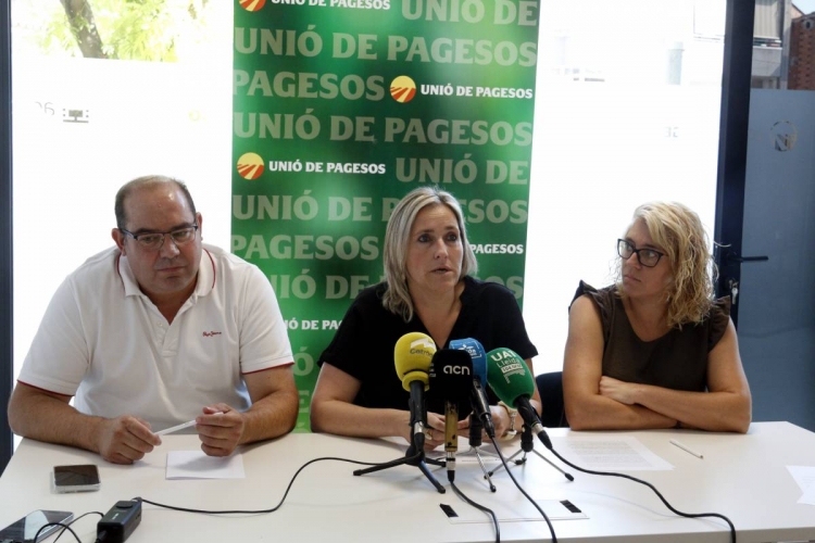 Unió de Pagesos denúncia que la variant de Les Preses i Olot comportarà «una afectació agrària irreparable» 