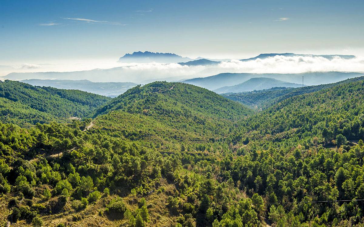 Montserrat acollirà les jornades estatals de geoparcs amb l'educació com a eix central