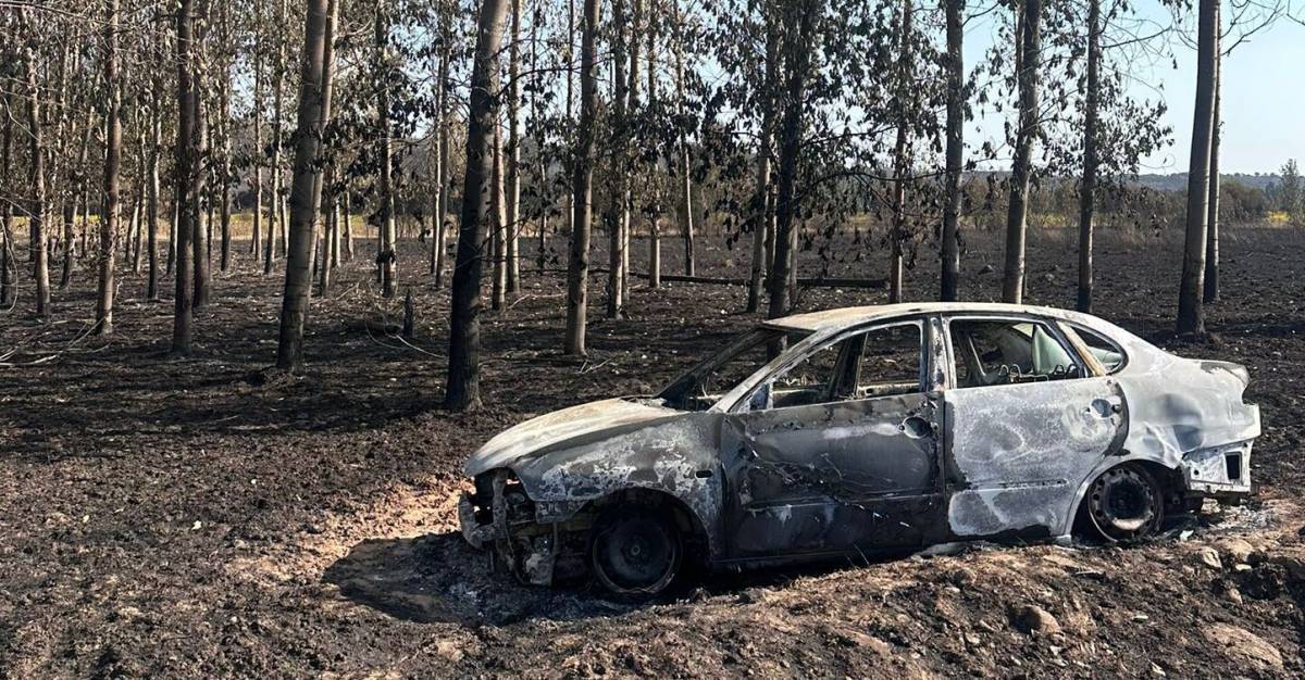 Incendis a l'Estat: Galícia i Castella sumen més de 40 focs actius
