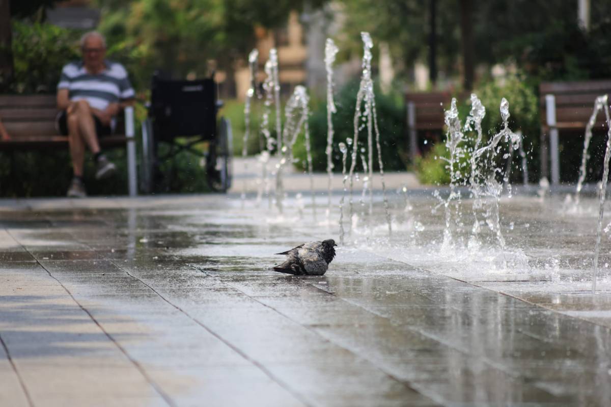 L`onada de calor a Sabadell aquest diumenge - VÍCTOR CASTILLO L`onada de calor a Sabadell aquest diumenge