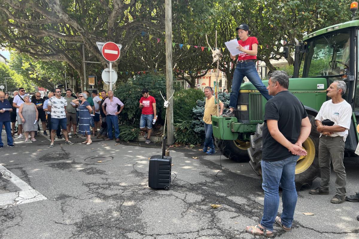 Lectura del manifest després de la marxa lenta de tractors a la Seu d'Urgell, organitzada per Unió de Pagesos - Albert L Cobo