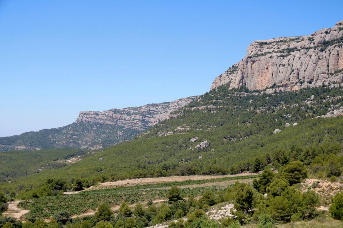 El director del Parc Natural de la Serra de Montsant reclama accedir a les finques privades per fer-hi gestió forestal