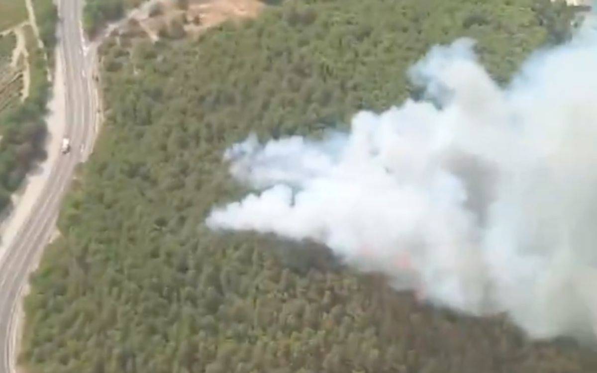 Més d'una seixantena de dotacions activades per un incendi a Fontscaldes, a l'Alt Camp