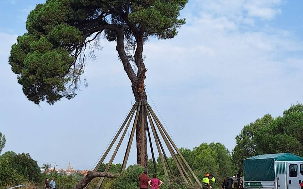 Les primeres valoracions indiquen que la causa de la caiguda hauria sigut la calor extrema - AJ Sant Cugat