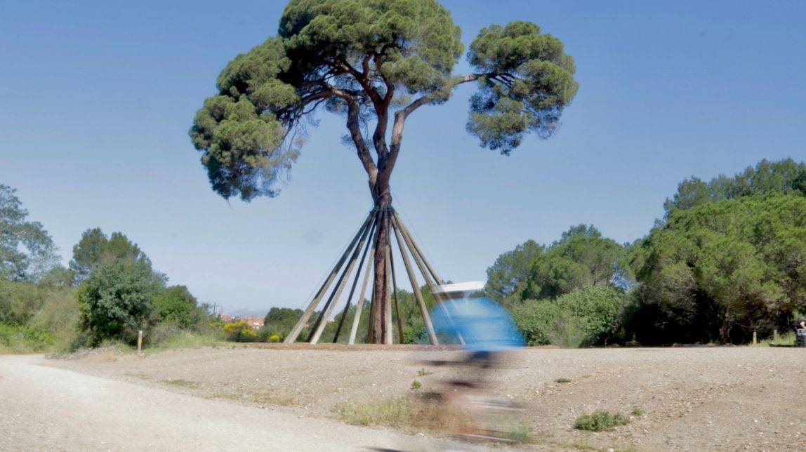 El Pi d'en Xandri de Sant Cugat perd una de les branques