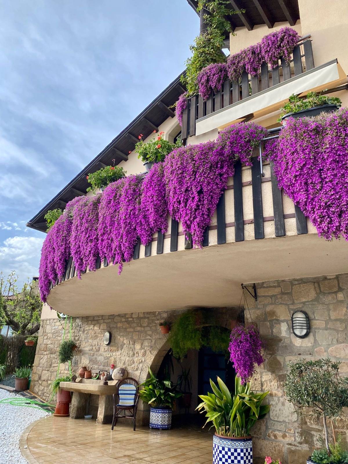 Solsona premia les tretze llars presentades al 35è  Concurs de flors als balcons