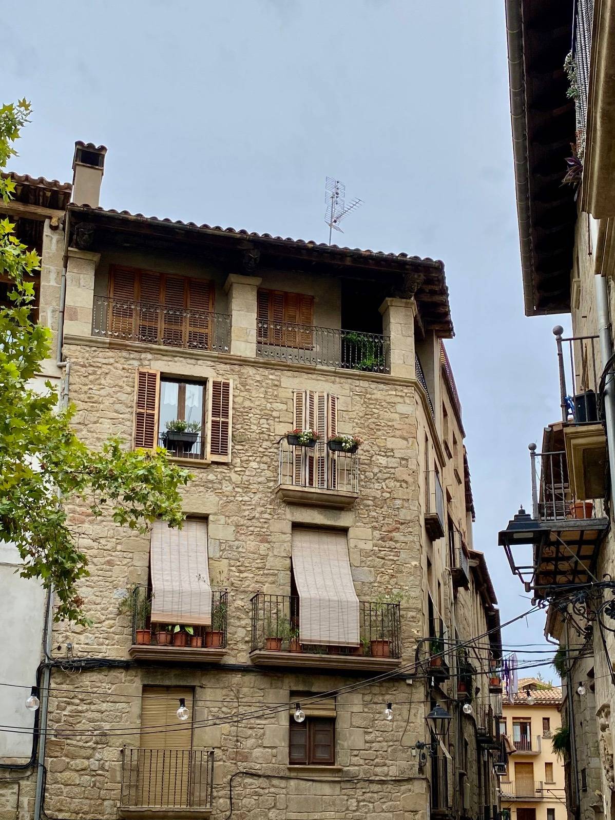 Concurs de flors als balcons  - 