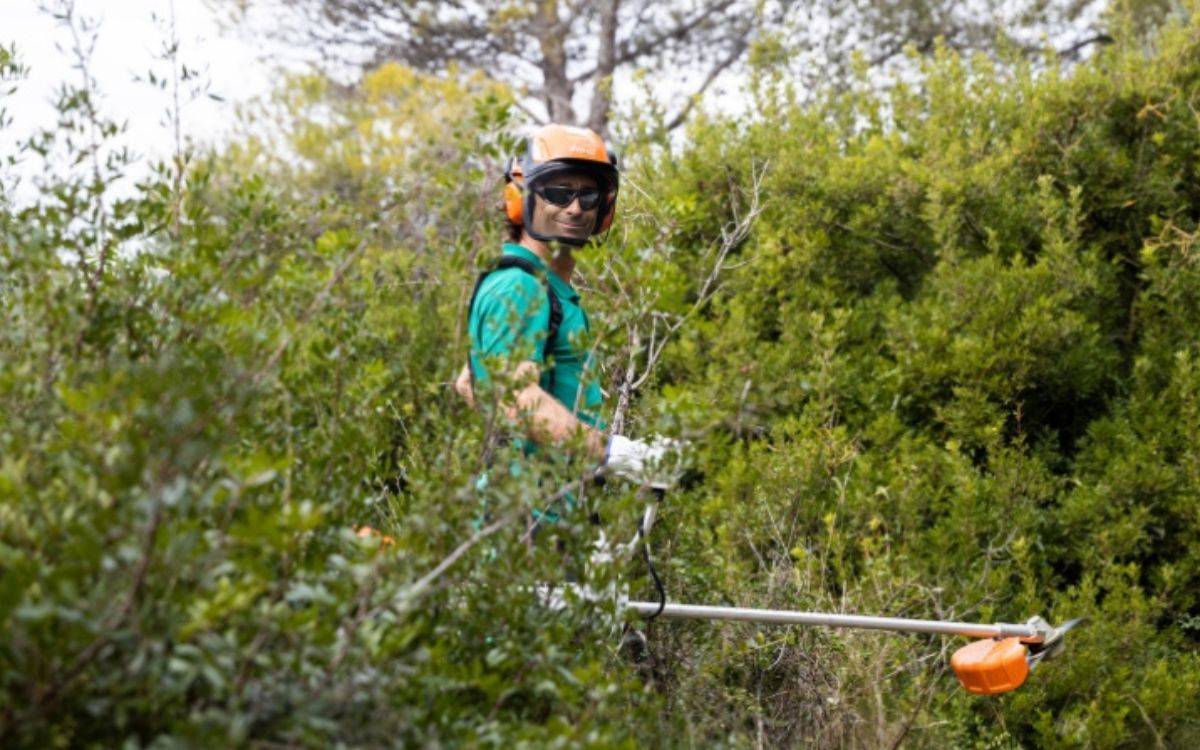 En Comú Podem carrega contra la gestió forestal del govern municipal de Tarragona