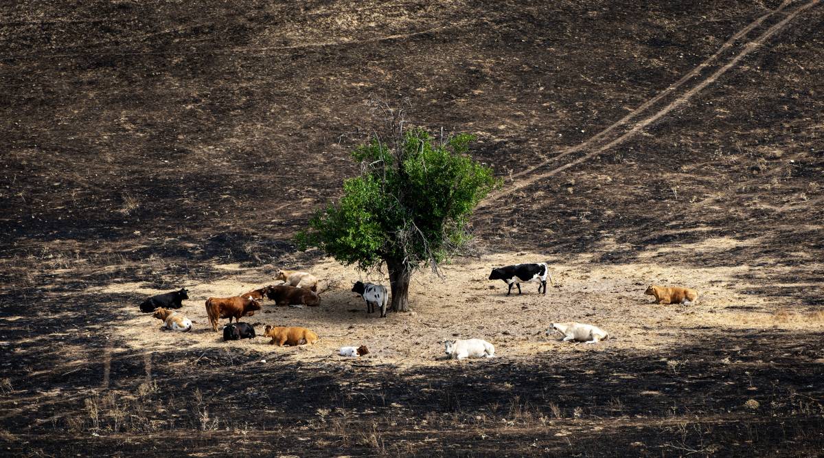Les «fake news» i el canvi climàtic ja són percebudes com les principals amenaces
