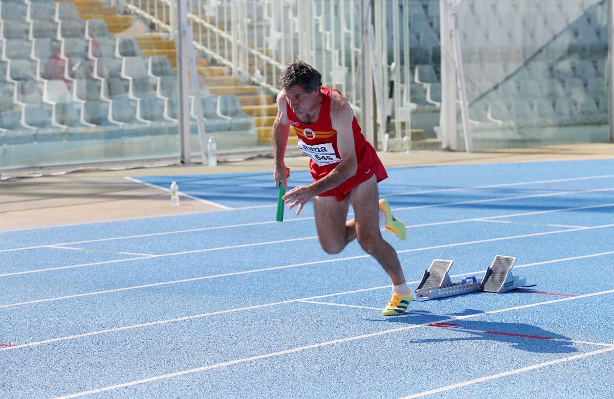 Rof, en el relleu que li va servir per ser bronze continental