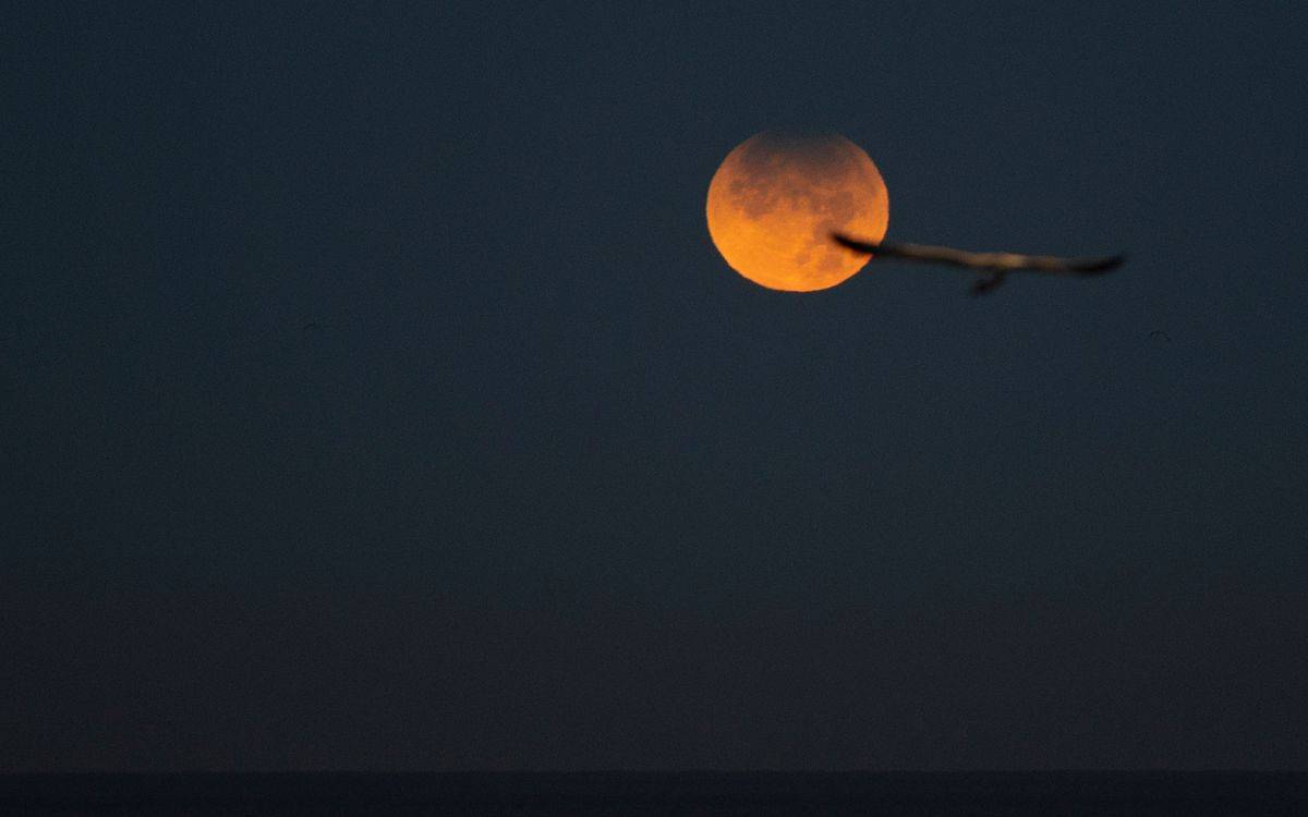 Abans de l'esperat eclipsi de sol, a Tarragona podrem veure l'eclipsi de lluna 