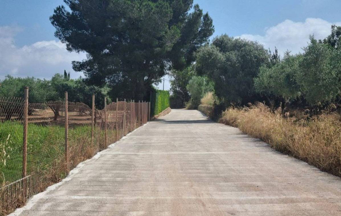 Amposta destina 400.000 euros a reparar els danys dels aiguats en camins i edificis