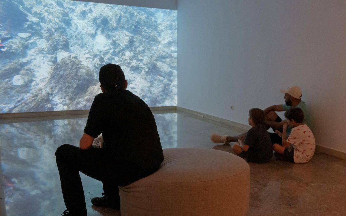 Imatge de l'obra guanyadora de la Biennal d'Art 2025. - Diputació de Tarragona