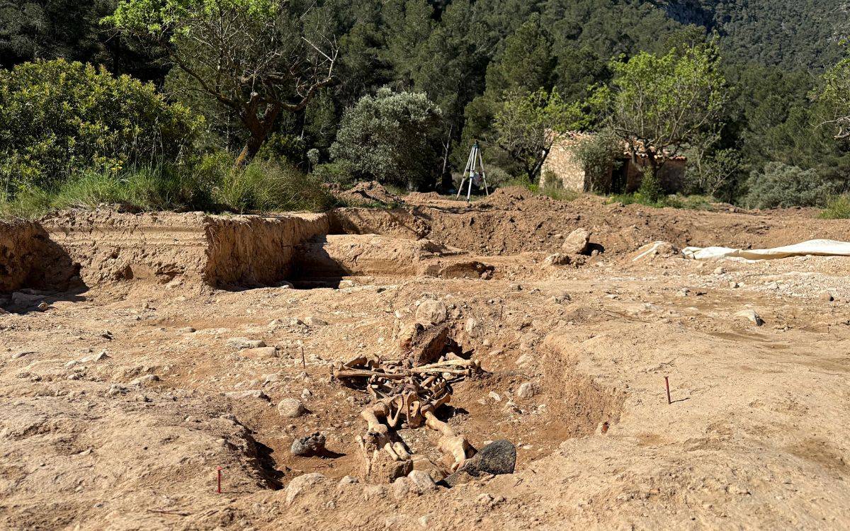 Troben al Priorat les restes d'un soldat republicà mort durant la Guerra Civil