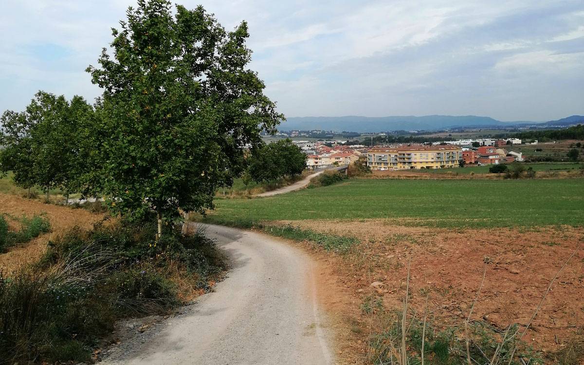 Sant Fruitós iniciarà dilluns les obres de reparació del camí paisatgístic cap a Món Sant Benet