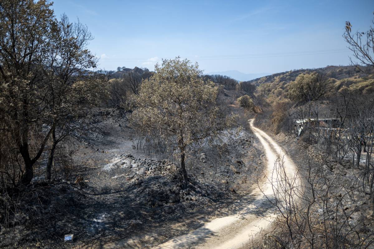 Evolució favorable dels incendis a l'Estat: 16 actius i previsió meteorològica positiva