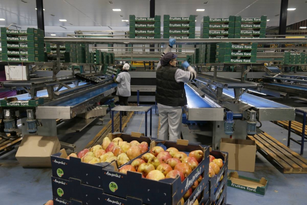 El sector agrícola català recela de l'acord aranzelari que beneficia als productes dels Estats Units