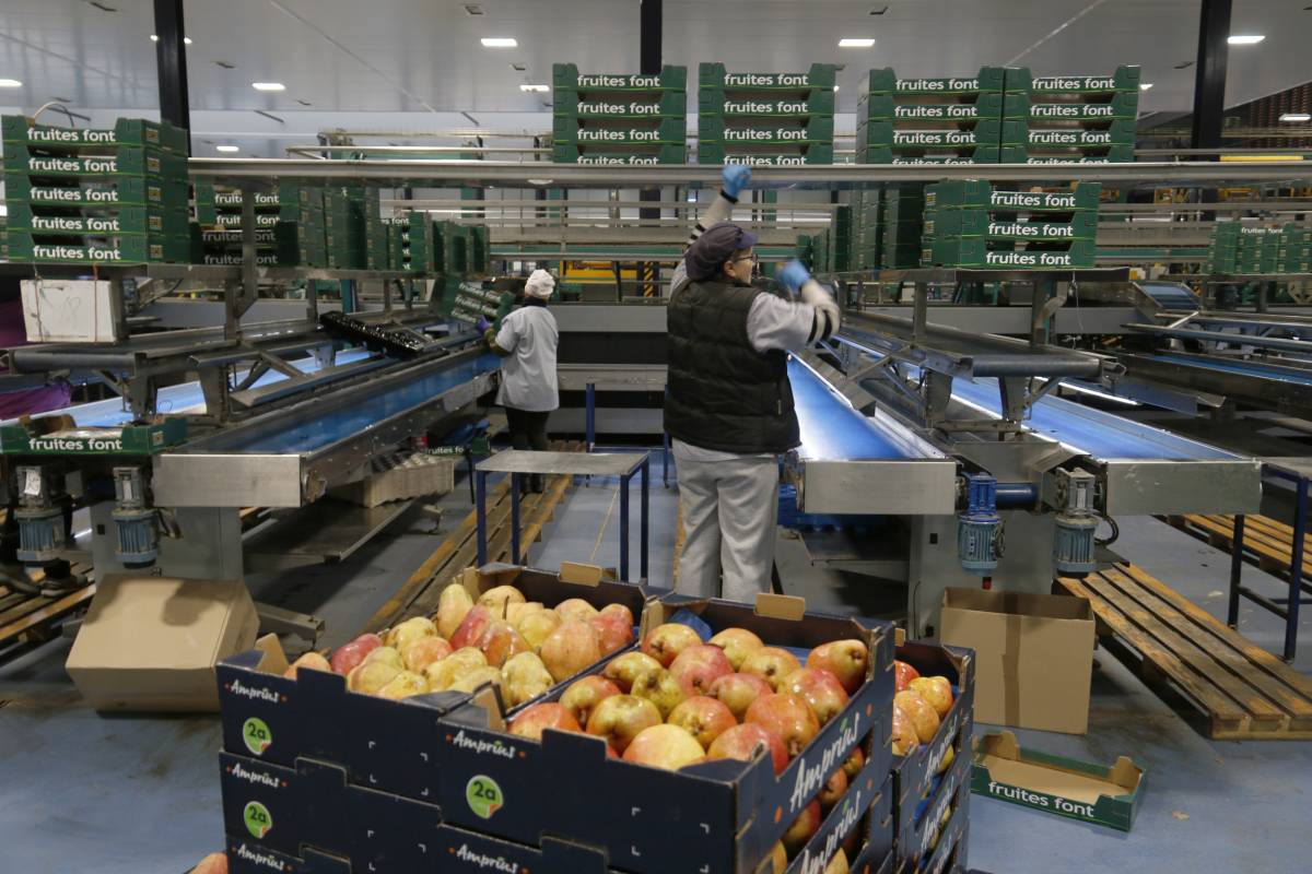 El sector agrícola català recela de l'acord aranzelari que beneficia als productes dels Estats Units