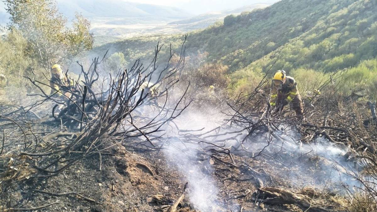 Es mantenen 14 focs actius a l'Estat: «Situació favorable amb avenços molt lents»