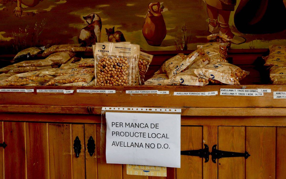 Crisi de l'avellana de Reus: les cooperatives de Tarragona, obligades a vendre avellana turca per falta de producció local