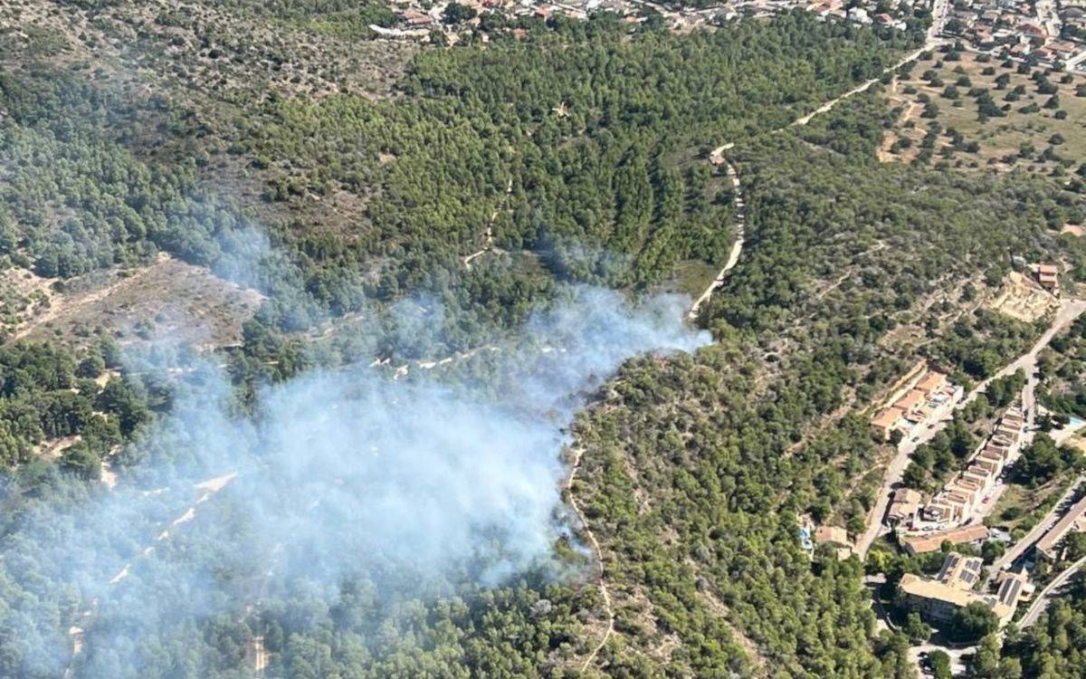Ensurt per un incendi forestal a Roda de Berà que calcina més d'una hectàrea de vegetació