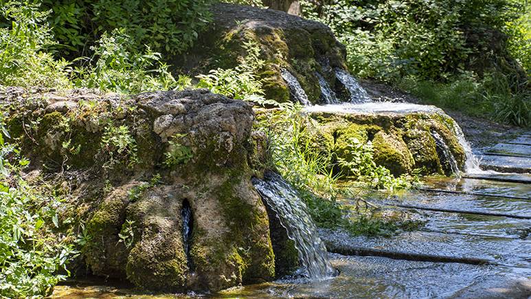 Fonts al parc natural de Sant Llorenç - Cedida Fonts al parc natural de Sant Llorenç