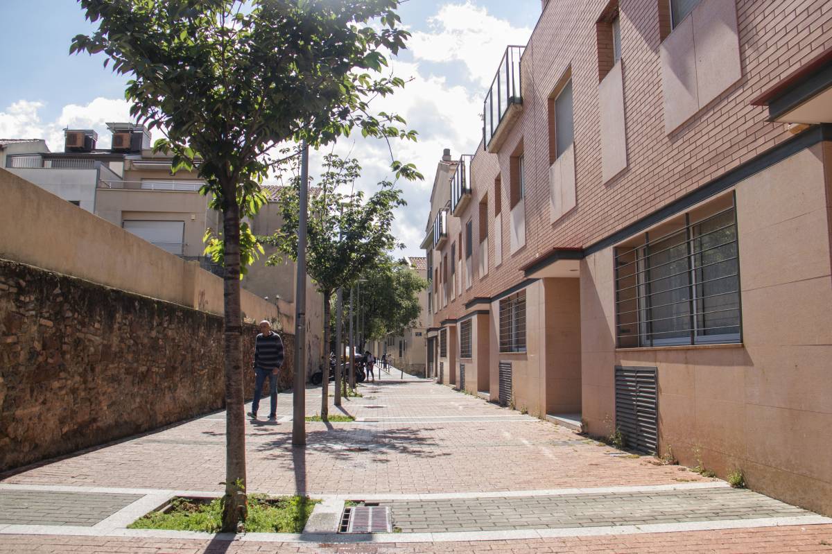 El polièdric que va matricular el primer