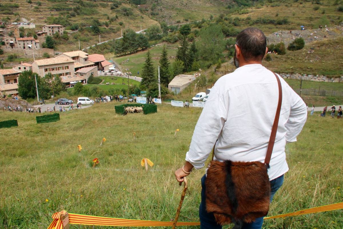 El Concurs de Gossos d'Atura de Castellar de n'Hug ajusta el nombre de participants