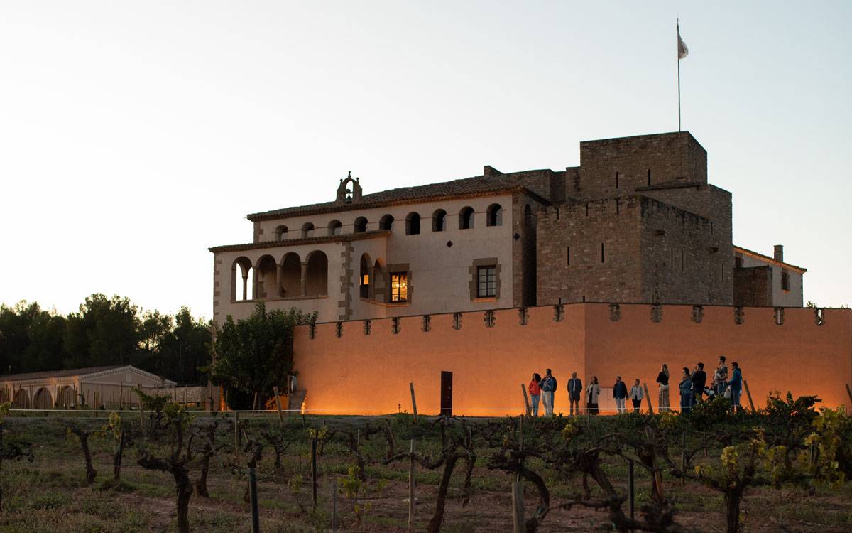 Oller del Mas celebrarà la verema amb experiències enoturístiques exclusives