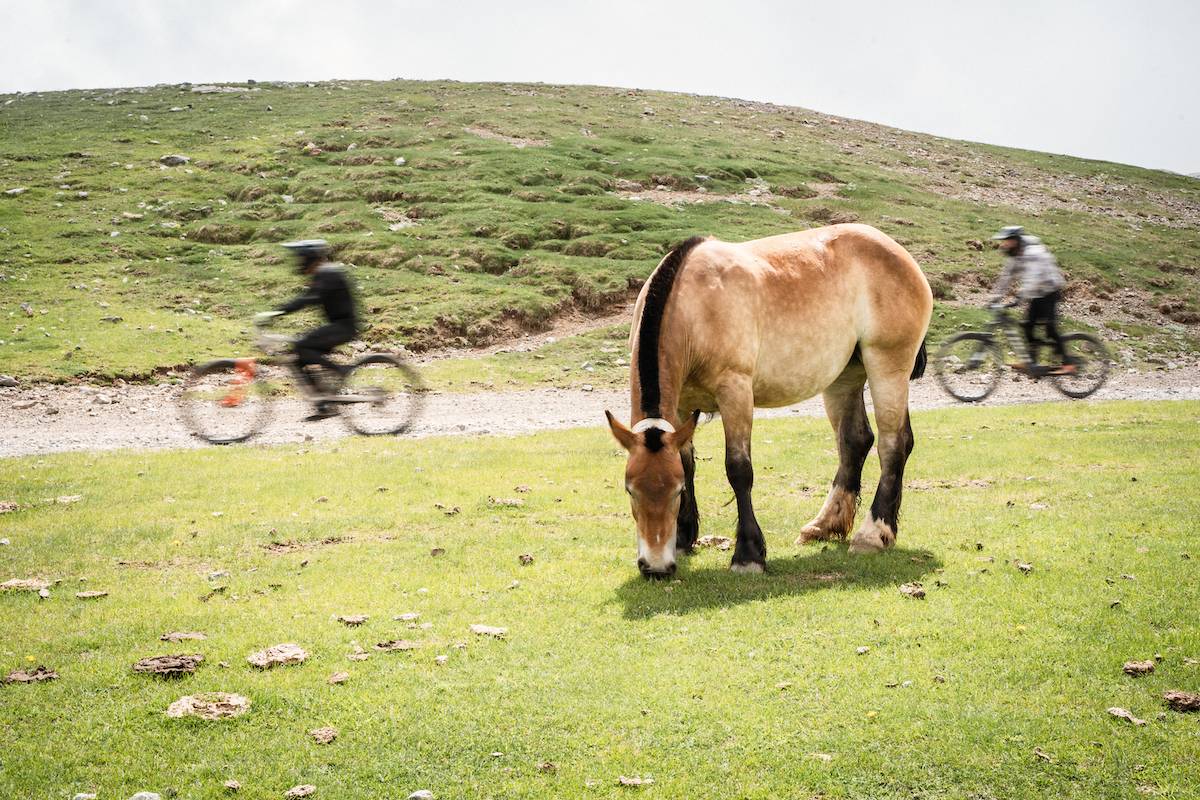 El Bike Park de La Molina, inaugurat el 2004, és el més gran d`Espanya - El Bike Park de La Molina, inaugurat el 2004, és el més gran d`Espanya