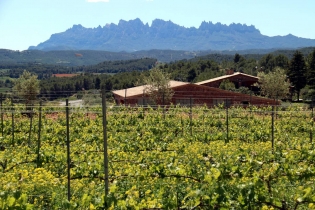 La UE crea dos segells per reconèixer vins i productes agraris conreats en finques que actuen com a tallafocs