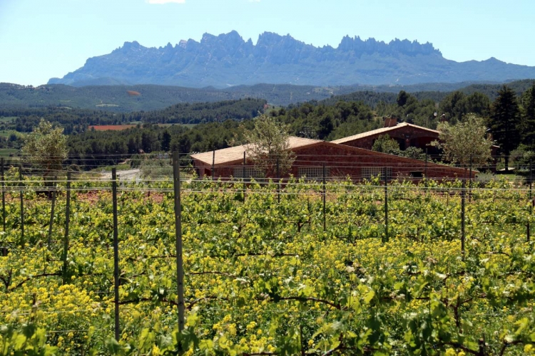 La UE crea dos segells per reconèixer vins i productes agraris conreats en finques que actuen com a tallafocs