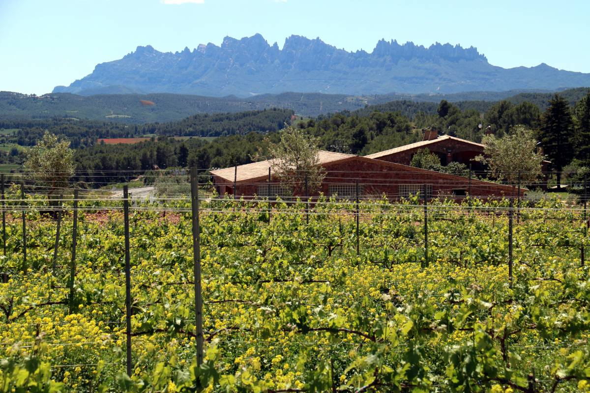 La UE crea dos segells per reconèixer vins i productes agraris conreats en finques que actuen com a tallafocs