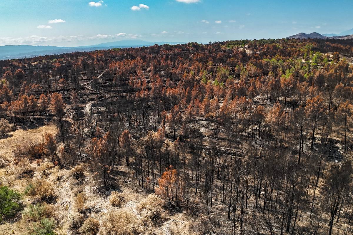 Els alcaldes dels municipis afectats pels focs de l'Ebre i la Segarra reclamen agilitat en els ajuts 
