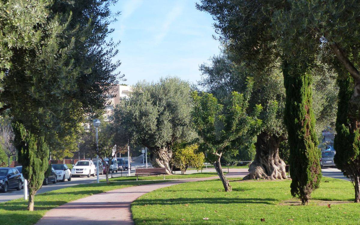 Salou adjudica el nou contracte de jardineria per gairebé 4,9 milions d'euros