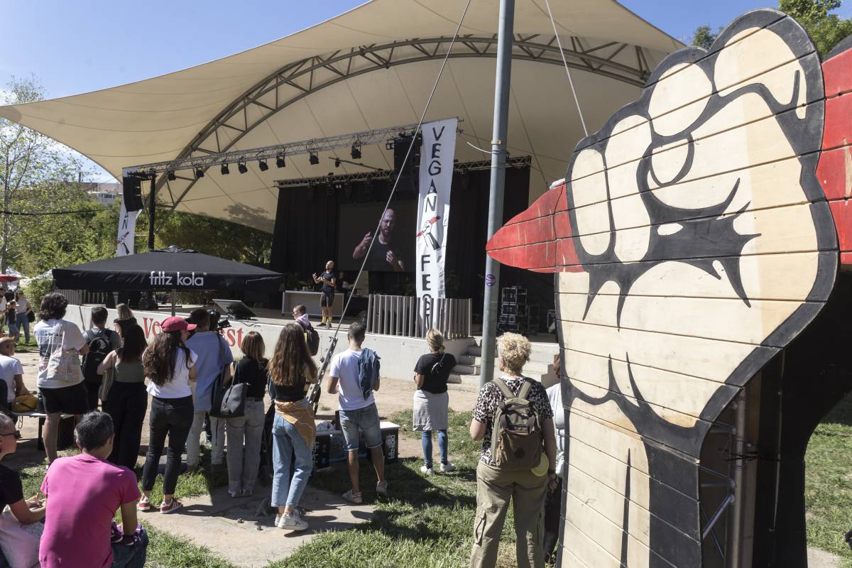 Activitat al Vegan Fest del 2024 - Lluís Clotet Activitat al Vegan Fest del 2024