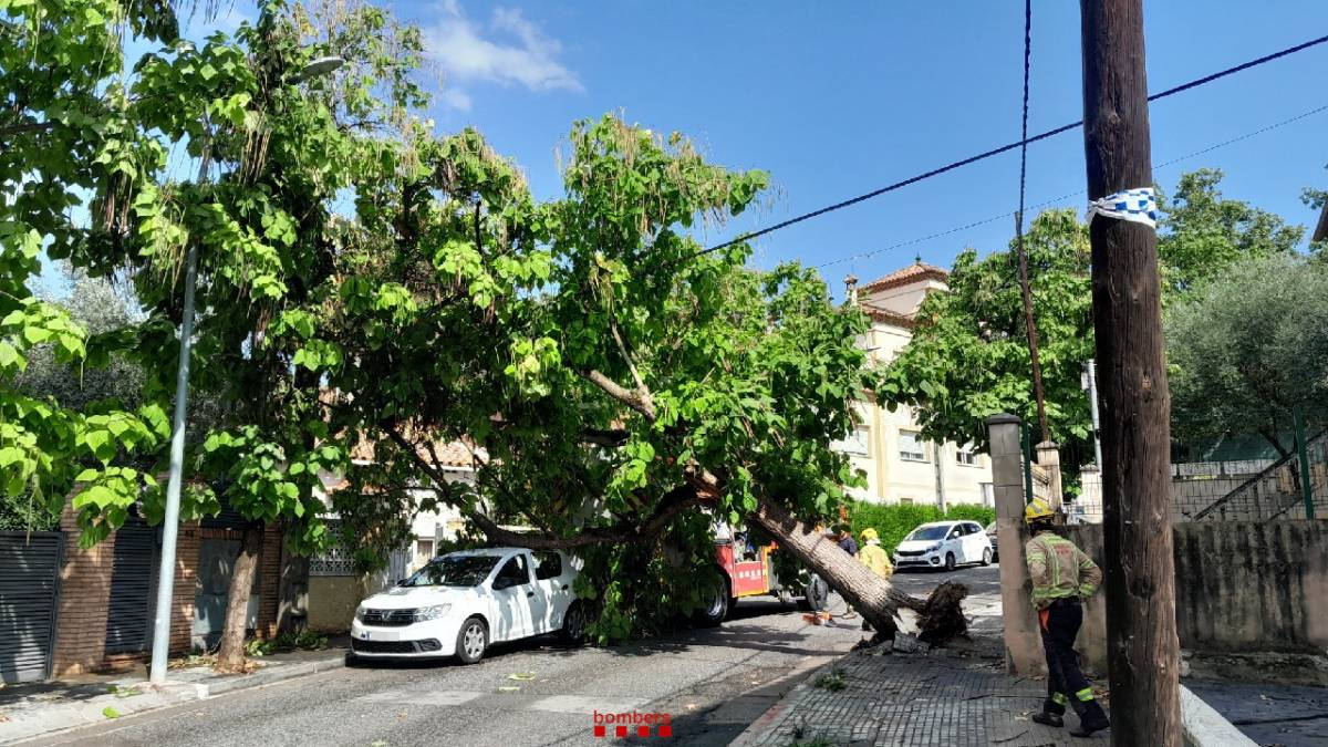 Tarda d'avisos al Vallès a causa del temporal: 16 intervencions dels Bombers en tota la comarca