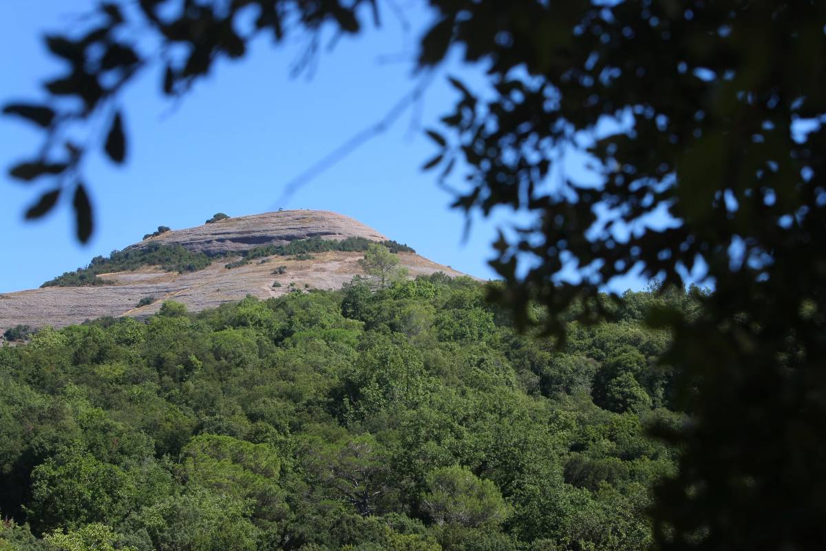 Pressupost rècord al parc natural de Sant Llorenç