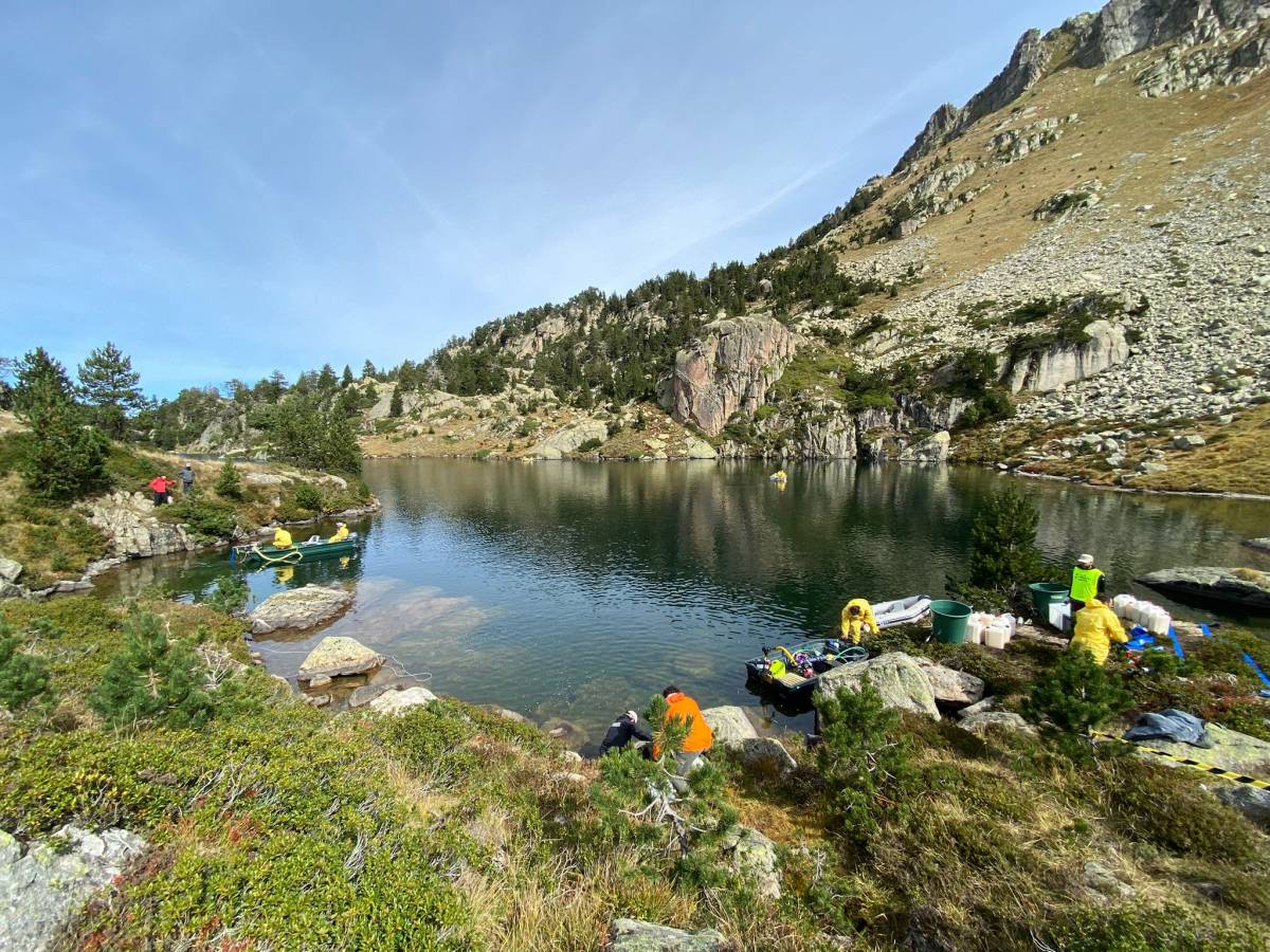 Catalunya elimina els peixos d'estanys de muntanya per recuperar-ne la biodiversitat