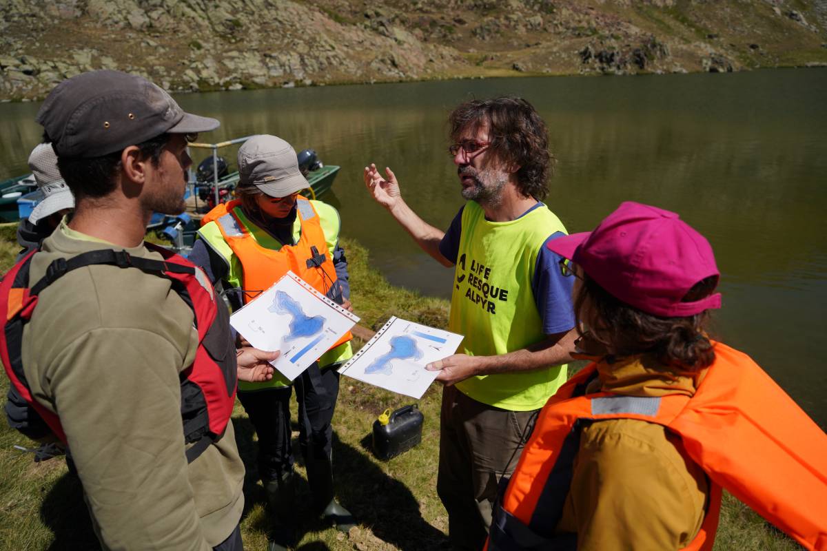 L'ús d'un biocida permetrà eliminar els peixos en estanys d'alta muntanya - Marc Obiols / PN Alt Pirineu