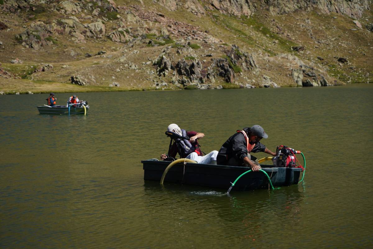 L'ús d'un biocida permetrà eliminar els peixos en estanys d'alta muntanya - Marc Obiols / PN Alt Pirineu