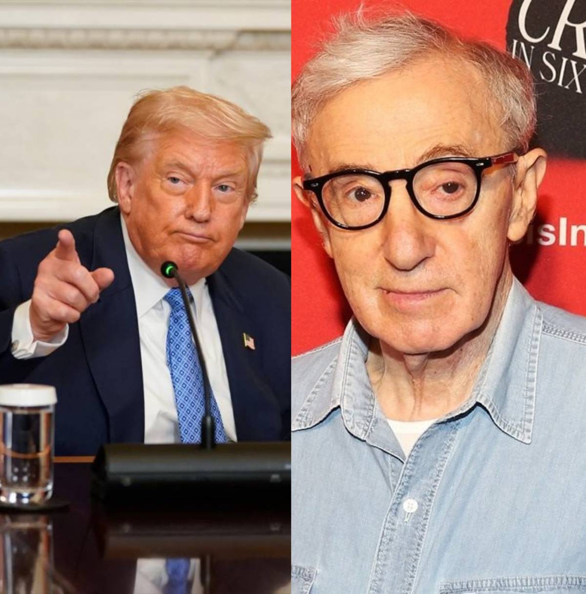 Woody Allen demana tornar a dirigir a Trump en una pel·lícula