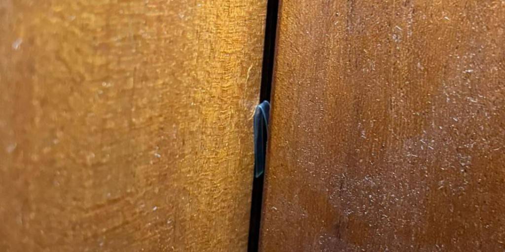 La tècnica del marcador de portes: els Mossos detenen un home que volia robar en pisos de Barcelona